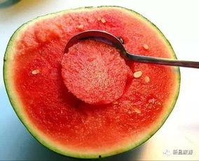 山串红吃瓜,揭秘瓜界新宠的传奇故事  第1张